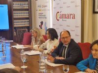 Reunión del Comité Directivo